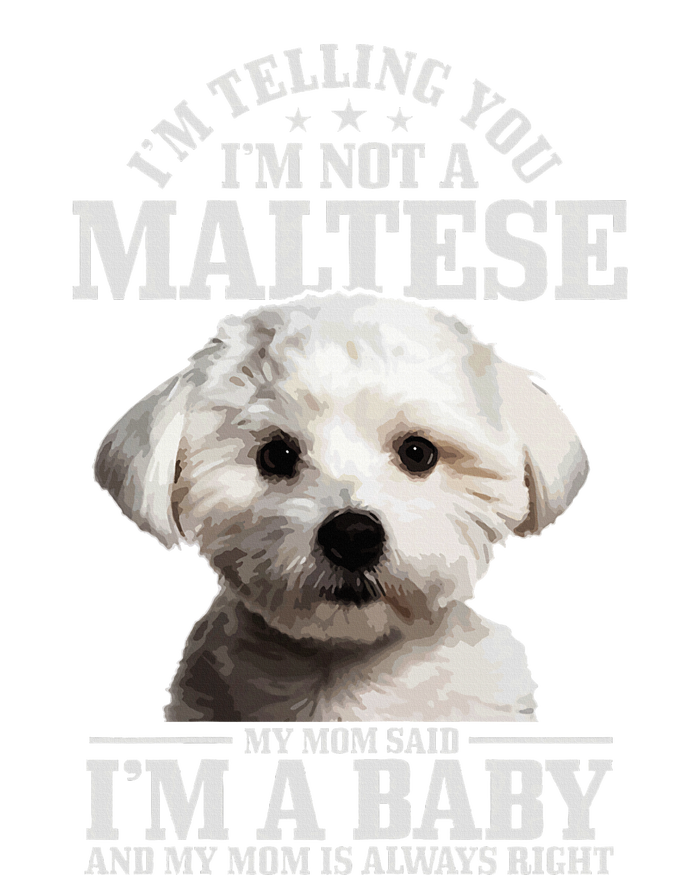 Maltese Mom Said IM A Baby Funny Maltese Dog Pom Pom 12in Knit Beanie