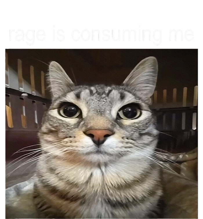 Rage Is Consuming Me Silly Staring Cat Meme Valucap Bio-Washed Visor