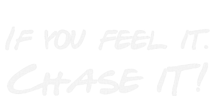 If You Feel It Chase It Valucap Bio-Washed Visor