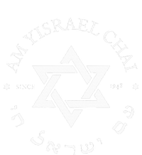 Am Yisrael Chai Israel 1948 Star Of David Hebrew Idf Jewish Cropped Pullover Crew