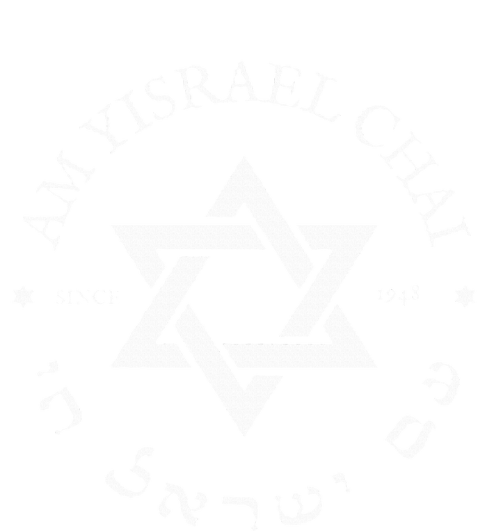 Am Yisrael Chai Israel 1948 Star Of David Hebrew Idf Jewish Cropped Pullover Crew