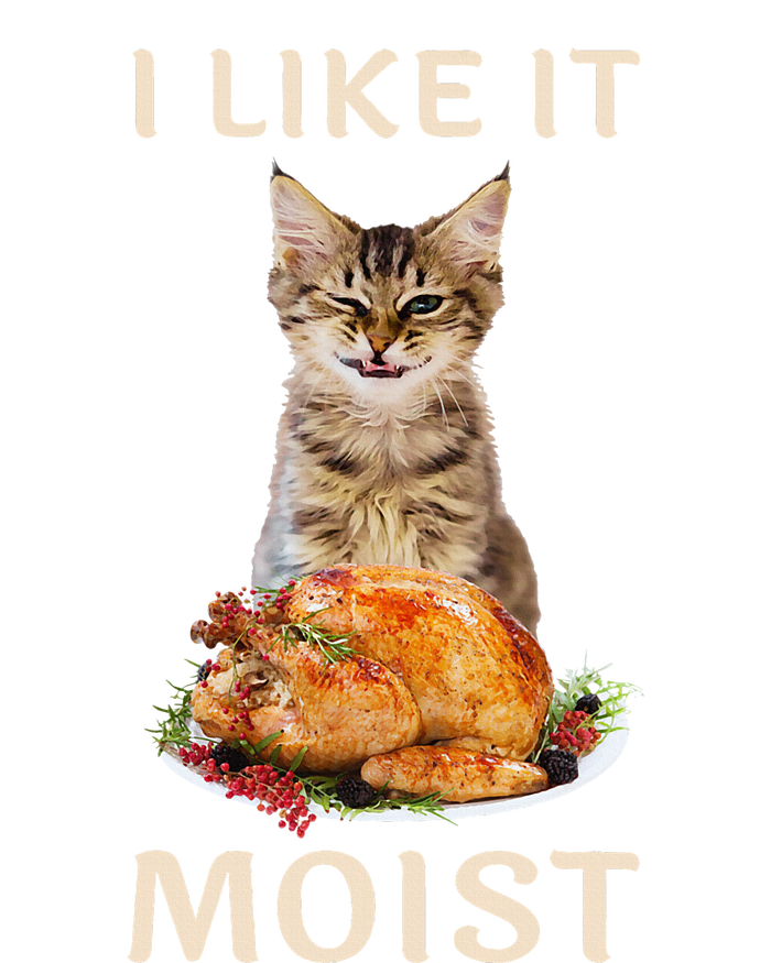 Funny Thanksgiving I Like It Moist Turkey Dinner Cat Striped Beanie with Solid Band