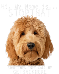 Goldendoodle Hi My Name Is Stop That Funny Dog Doodle Mom T-Shirt