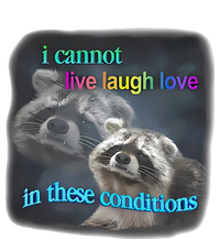 Snazzyseagull I Cannot Live Laugh Love In These Conditions Raccoon Premium Pullover Hoodie