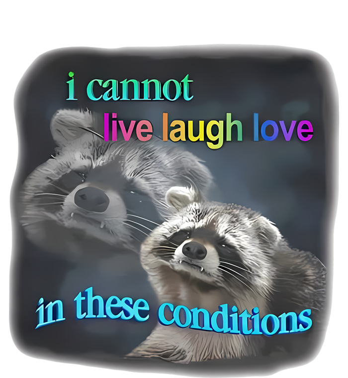 Snazzyseagull I Cannot Live Laugh Love In These Conditions Raccoon Premium Pullover Hoodie