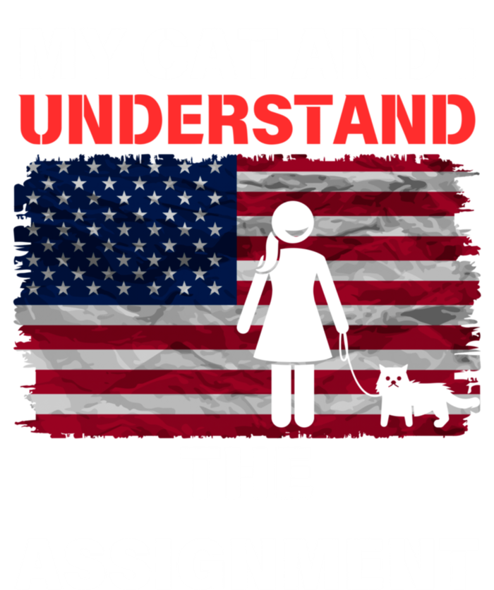 My Cat And I Understand The Assignment Usa Flag Premium Hoodie