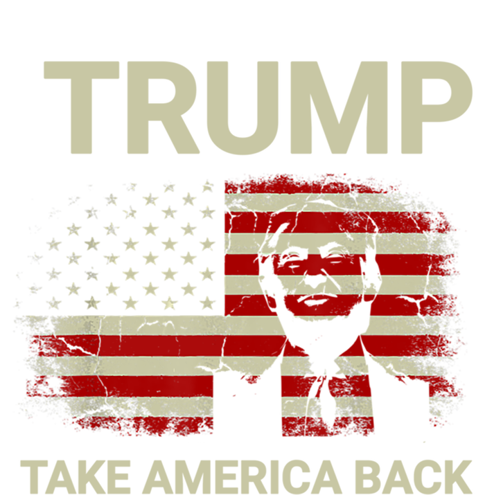 Trump 2024 Take America Back American Flag T-Shirt