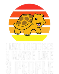 I Like Tortoises And Maybe Like 3 People Tall Hoodie