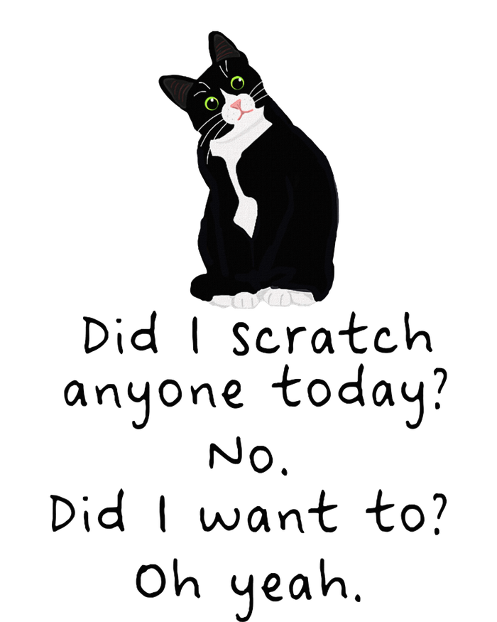 Sarcastic Cat Have I Scratched Anyone Today Funny Black Cat T-Shirt