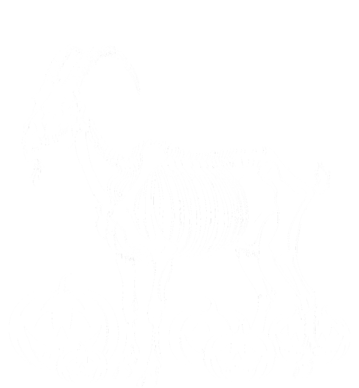 Goat Skeleton Birthday Halloween T-Shirt