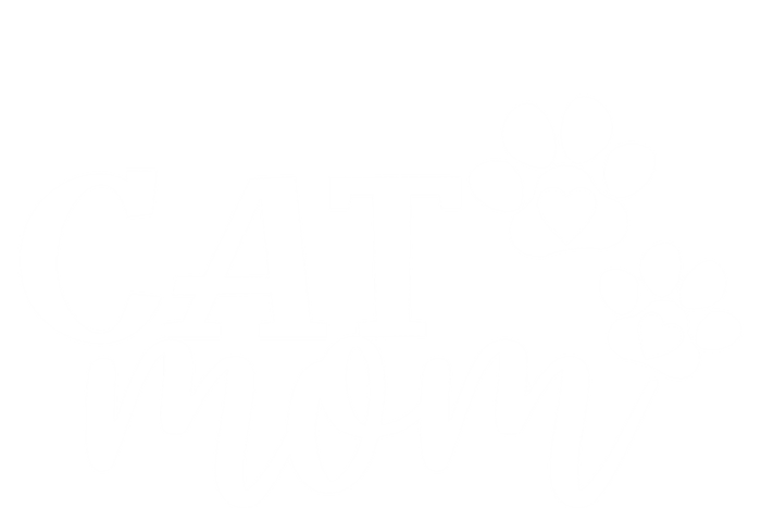 Cat Mom Cat Paws Cat Lover Funny Cute Cat Great Gift T-Shirt