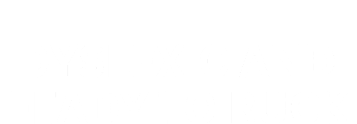 Dyslexic And Feady To Ruck T-Shirt