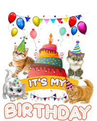 ItS My Birthday Cat And Kitten Party Day Hooded Wearable Blanket