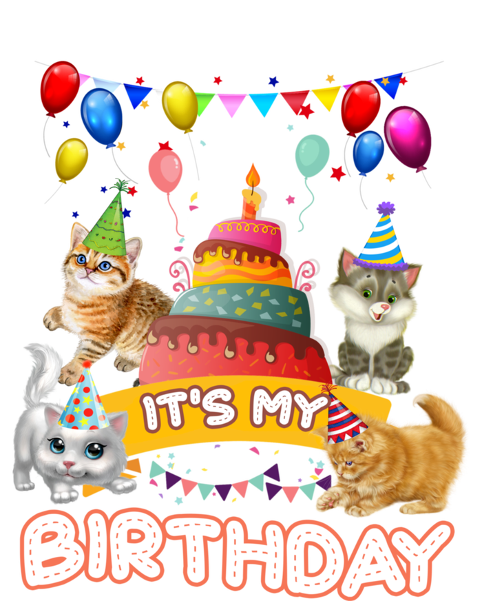 ItS My Birthday Cat And Kitten Party Day Hooded Wearable Blanket