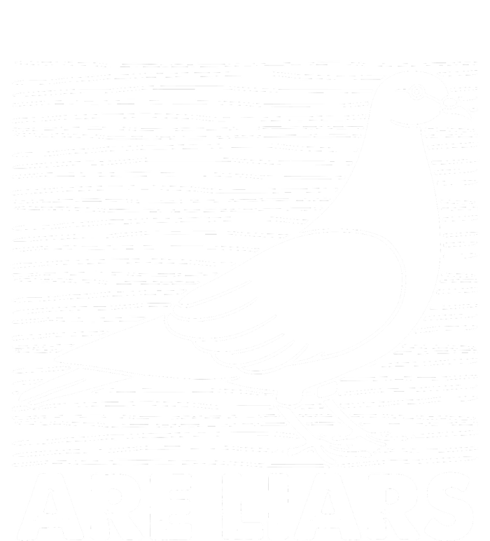 Pigeons Are Liars ArenT Real Spies Birds Pun Long Sleeve Shirt