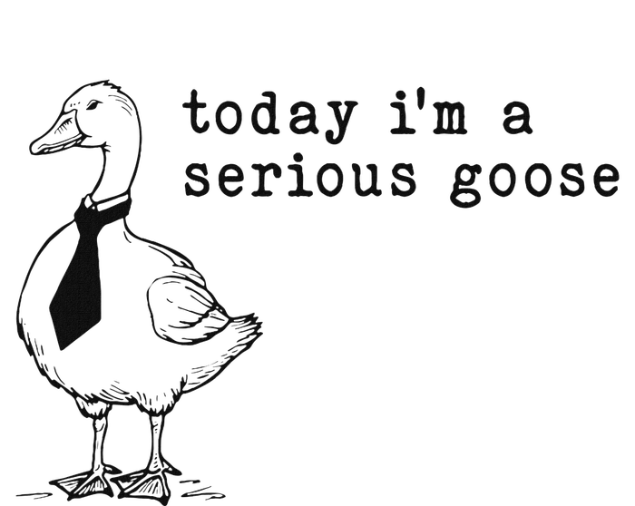 Today IM A Serious Goose Funny Humor Design T-Shirt