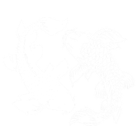 Yin And Yang Japanese Koi Fish T-Shirt