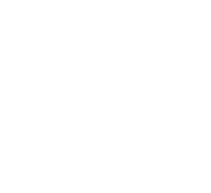 Yin And Yang Japanese Koi Fish T-Shirt