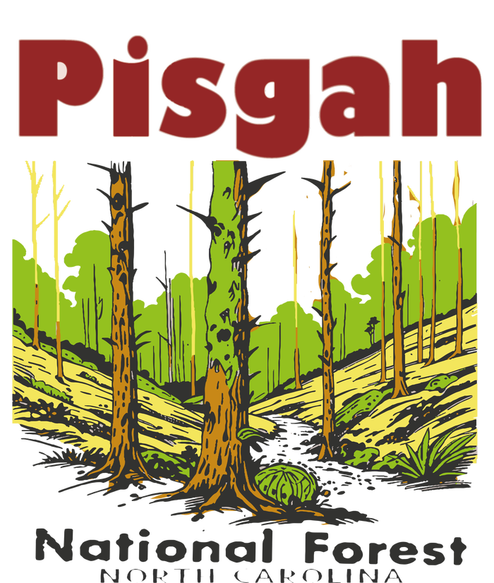 Pisgah National Forest T-Shirt