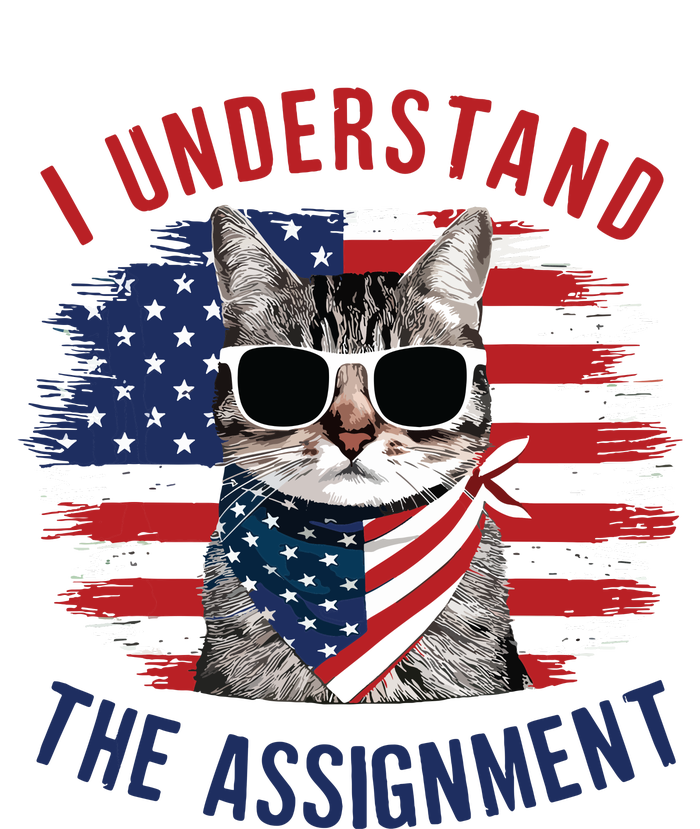 I Understand The Assignment Cat Childless Cat Lady Hoodie