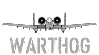 A10 Warthog Attack Jet A10 Thunderbolt Zip Tote Bag