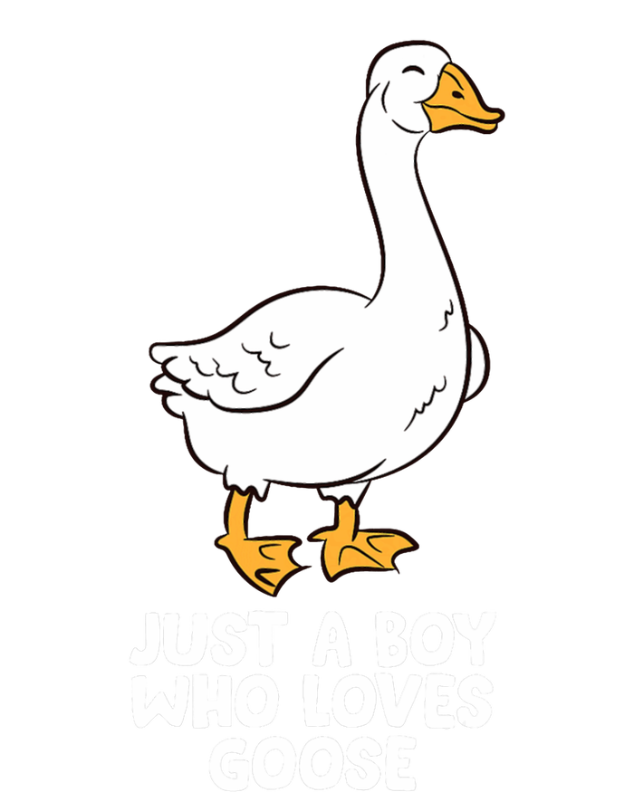 Goose Boy Gift Just A Boy Who Loves Goose T-Shirt