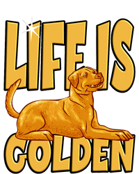 Life Is Golden For A Retriever Labrador Owner Women’s Perfect Tri Rocker Tank