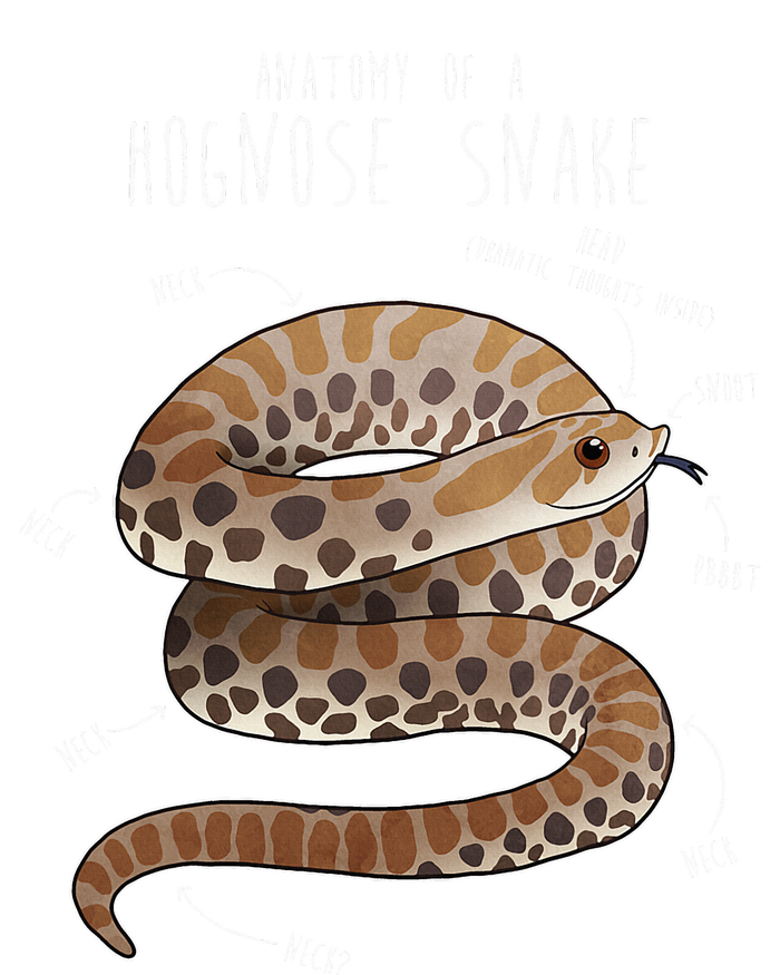 Anatomy Of A Hognose Snake Funny Pet Reptile Animal Lover Women's Crop Top Tee