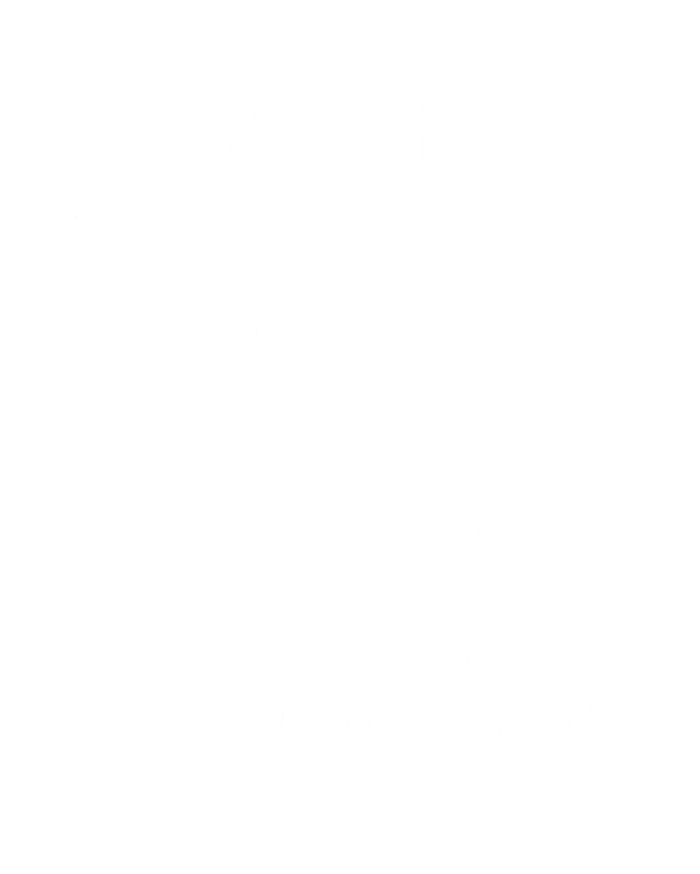 This Cat Lady Votes Ladies Is Voting Kamala Women's Perfect Tri Rocker Tank