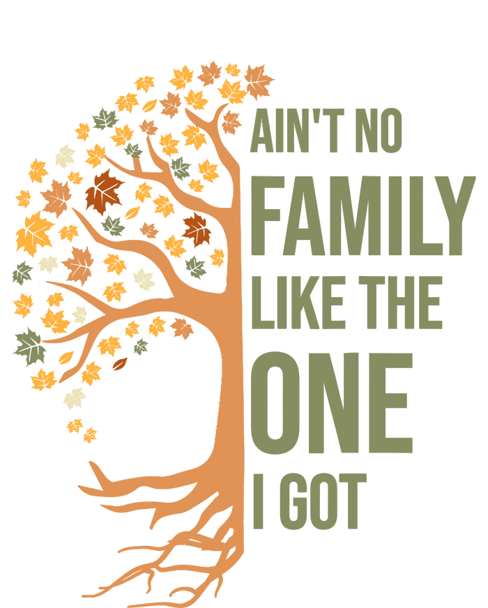 AinT No Family Like The One I Got Funny Family Reunion 2024 T-Shirt