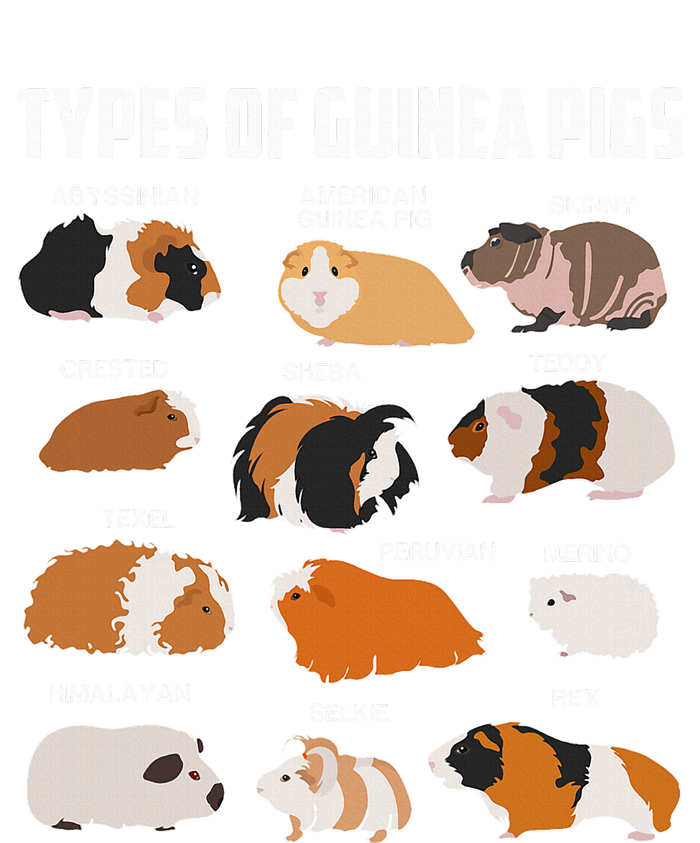 Types Of Guinea Pigs Owner Cool Animal Xmas Gift T-Shirt