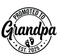 Promoted To Grandpa Est 2025 V-Neck T-Shirt