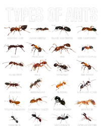 Types Of Ants For Ant Keeper Lovers Women's Racerback Tank