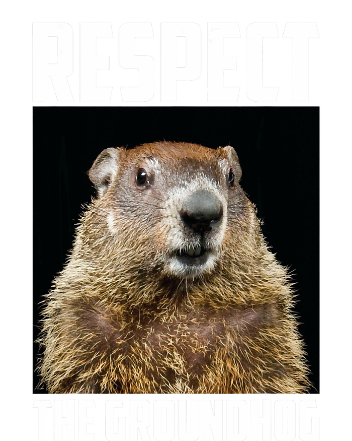 Respect The Groundhog Woodchuck Photo Ground Hog Day T-Shirt