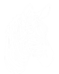 Zebra Head T-Shirt