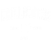 Chillicothe Ohio Oh Vintage Athletic Sports Women's V-Neck T-Shirt