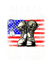 Veteran Day Usa Flag I Am A Veteran My Oath Never Expires Gift Toddler T-Shirt