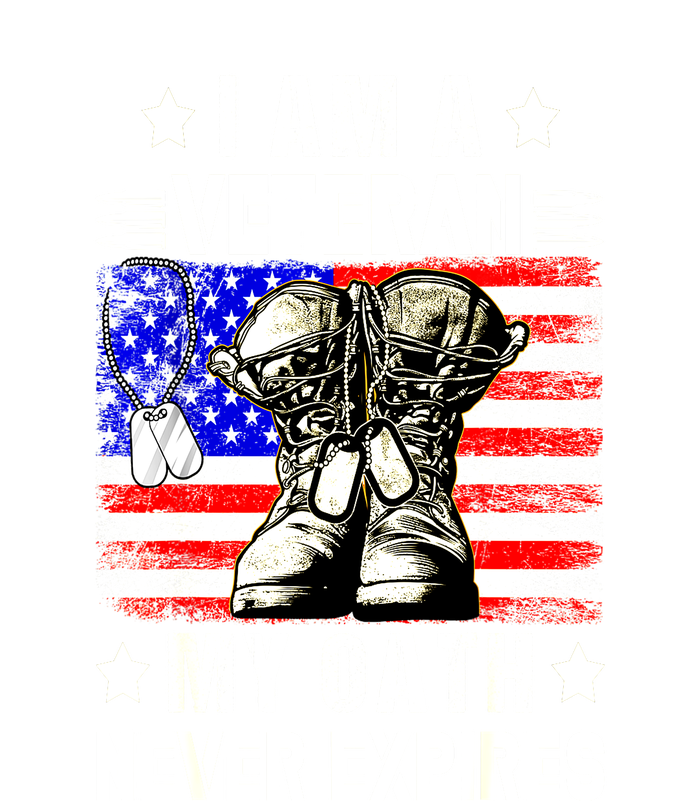 Veteran Day Usa Flag I Am A Veteran My Oath Never Expires Gift Toddler T-Shirt