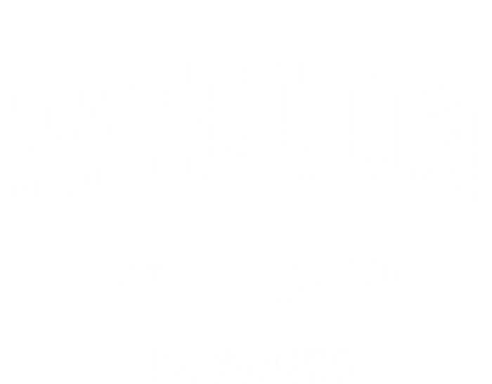 Papillion Nebraska Ne Vintage Athletic Sports T-Shirt