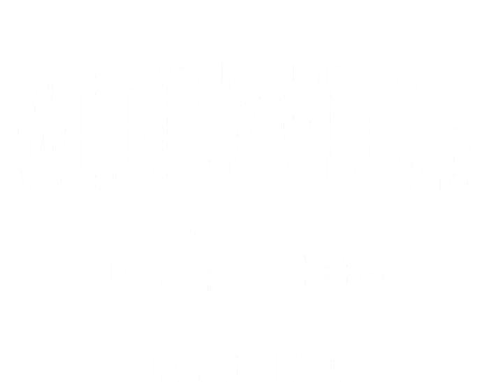 Wentzville Missouri Mo Vintage Athletic Sports T-Shirt