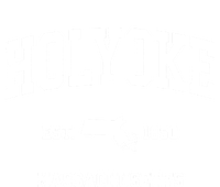 Holyoke Massachusetts Ma Vintage Athletic Sports Women's Pullover Hoodie