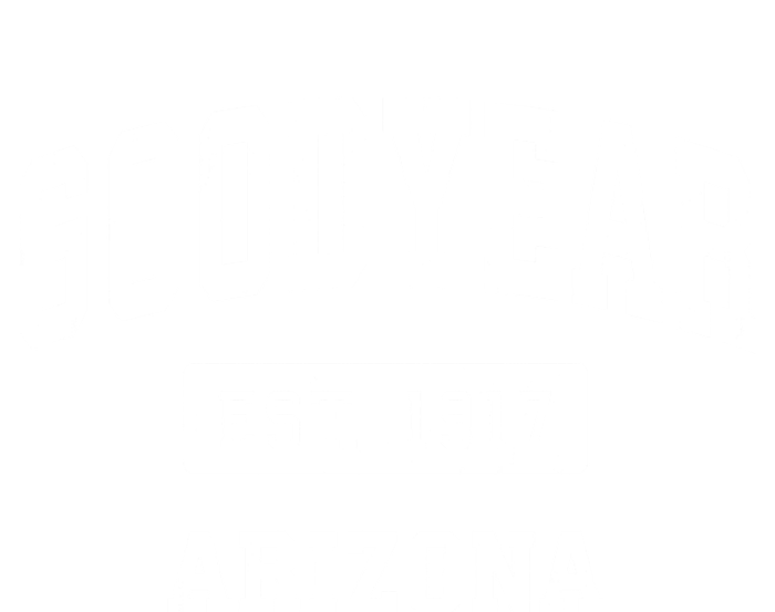 Goodyear Arizona Az Vintage Established Sports T-Shirt