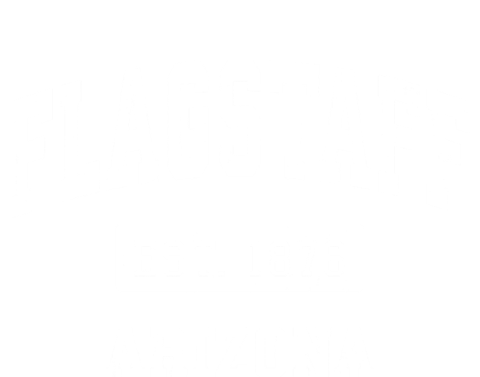 Flagstaff Arizona Az Vintage Established Sports T-Shirt