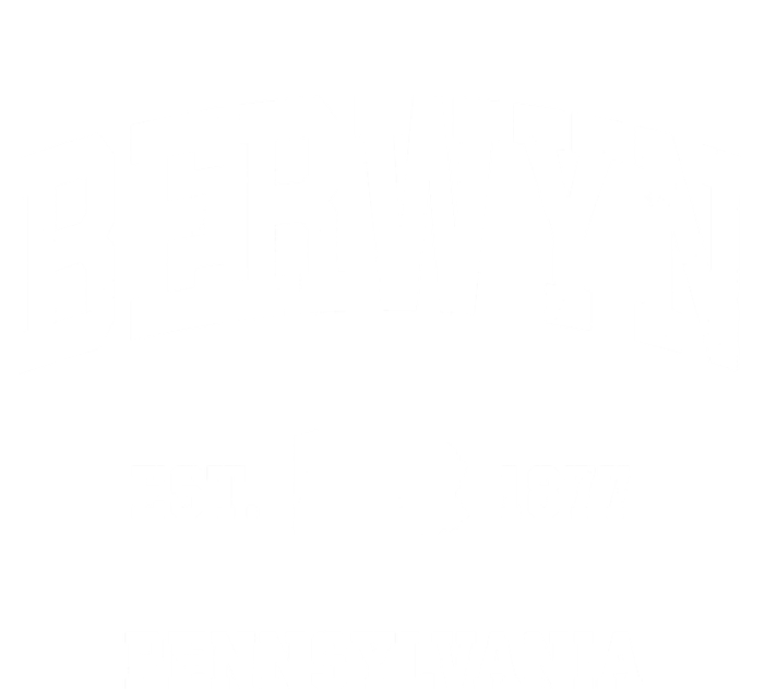 Berwyn Pennsylvania Pa Vintage Athletic Sports Women's T-Shirt