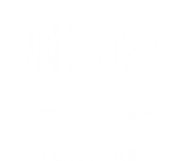 Angels Camp California Ca Vintage Athletic Toddler Hoodie