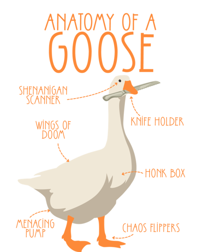 Anatomy Of A Goose Water Bird Duckling Dry Zone Grid Polo