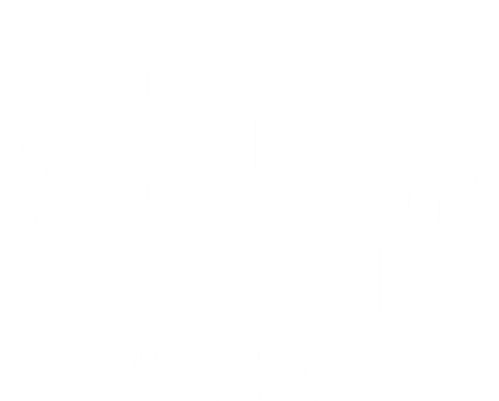 Vienna Virginia Va Vintage Sports Established T-Shirt