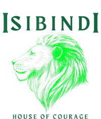 Isibindi Lion House Of Courage School Spirit Day Attire Valucap Bio-Washed Visor