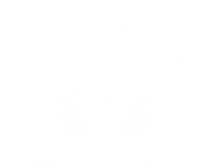 Meowdy Funny Mashup Between Meow And Howdy Cat Meme Cool Gift Hoodie