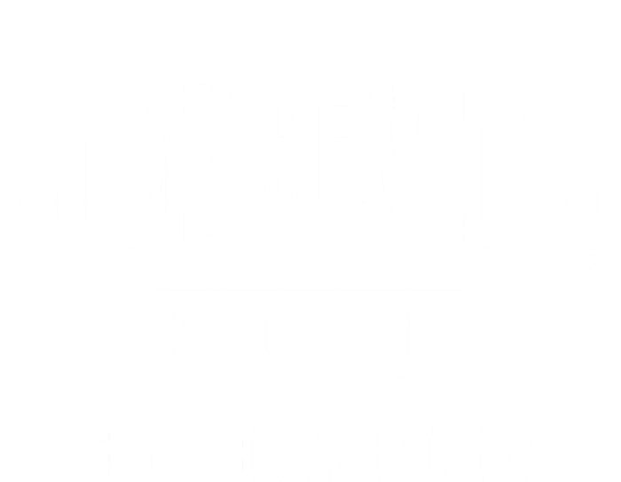 Summerville South Carolina Sc Vintage Established Sports T-Shirt